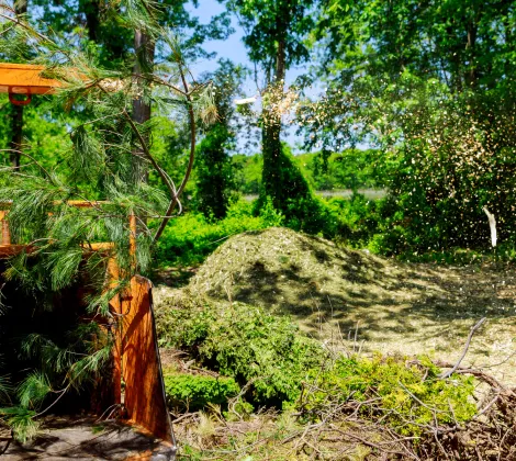 Home Forestry Mulching & Land Clearing