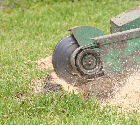 Home Stump Grinding & Removal