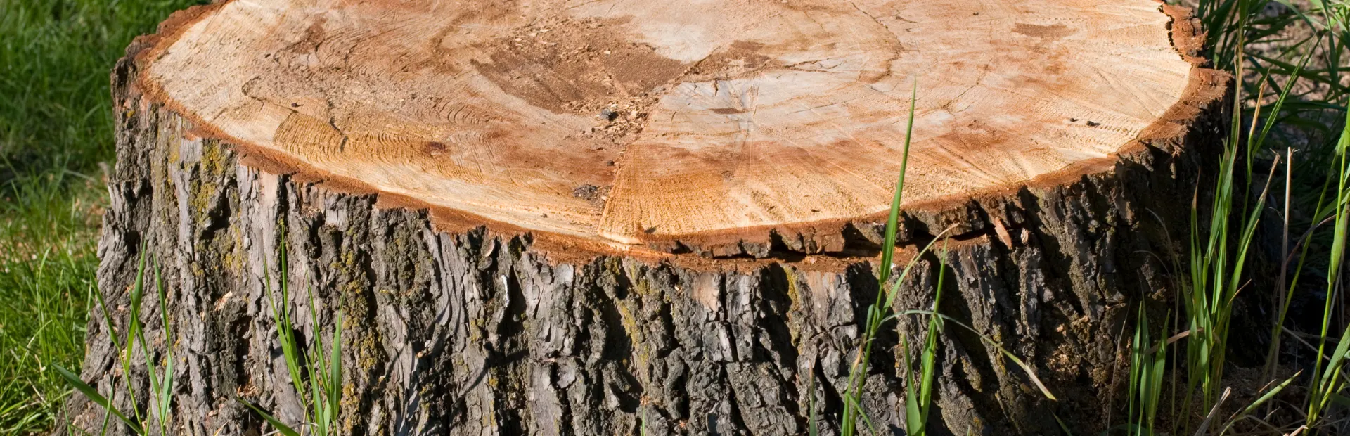 service 4 breadcrumb